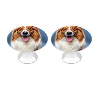FHESDCW Confezione da 2 pomelli per armadietti in acciaio inox con viti, simpatici cani Collie, facili da installare, moderni per cucina, bagno, comò