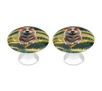 FHESDCW Confezione da 2 pomelli per armadietti in acciaio inox con viti, veri cani Maji che corrono per cassetti, facili da installare, moderni per cucina, bagno, comò
