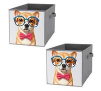 FHESDCW Cravatta morbida per cani di animali domestici, scatola portaoggetti pieghevole per occhiali oversize con manici, cubi Oxford resistenti, 2 organizer pieghevoli per armadio, per casa, scaffale