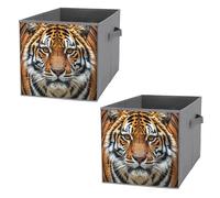 FHESDCW Fierce Tiger, scatola portaoggetti pieghevole con manici, cubi portaoggetti Oxford resistenti, 2 pezzi, organizer pieghevole per armadio, per casa, scaffale, ufficio, viaggi