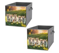 FHESDCW Happy Little Dog, scatola portaoggetti pieghevole con manici, cubi portaoggetti Oxford resistenti, 2 pezzi, organizer pieghevole per armadio, per casa, scaffale, ufficio, viaggi