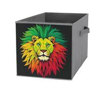 FHESDCW Lion's Head Majestic - Scatola portaoggetti pieghevole con manici, cubi portaoggetti Oxford resistenti, 1 organizer pieghevole per casa, scaffale, ufficio, viaggi