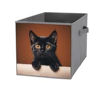 FHESDCW Simpatico contenitore pieghevole a forma di gatto nero con manici, cubi portaoggetti Oxford resistenti, 1 organizer pieghevole per casa, scaffale, ufficio, viaggi