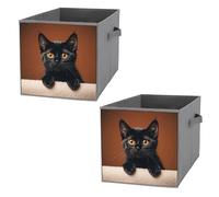 FHESDCW Simpatico contenitore pieghevole a forma di gatto nero con manici, cubi portaoggetti Oxford resistenti, 2 pezzi, organizer pieghevole per armadio, per casa, scaffale, ufficio, viaggi