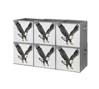 FHESDCW Sketch of Bald Eagle - Scatola portaoggetti pieghevole con manici, cubi Oxford resistenti, 6 pezzi, organizer pieghevole per armadio, per casa, scaffale, ufficio, viaggi