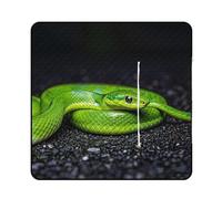 FHESDCW The Green Snake coperta da picnic con borsa tote con cerniera, coperta portatile impermeabile per esterni, leggera e pieghevole, per spiaggia, campeggio, parco, 150 x 150 cm