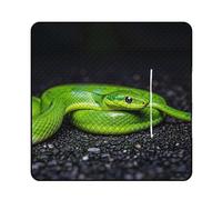 FHESDCW The Green Snake coperta da picnic con borsa tote con cerniera, impermeabile, portatile, per esterni, leggera, pieghevole, per spiaggia, campeggio, parco, 200 x 200 cm