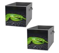 FHESDCW The Green Snake - Scatola portaoggetti pieghevole con manici, cubi portaoggetti Oxford resistenti, 2 pezzi, organizer pieghevole per armadio, per casa, scaffale, ufficio, viaggi
