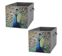 FHESDCW The Peacock - Scatola portaoggetti pieghevole con manici, cubi portaoggetti Oxford resistenti, 2 pezzi, organizer pieghevole per armadio, per casa, scaffale, ufficio, viaggi