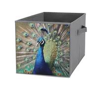 FHESDCW The Peacock - Scatola portaoggetti pieghevole con manici, resistente Oxford, 1 organizer pieghevole per armadio, per casa, scaffale, ufficio, viaggi