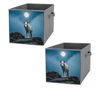 FHESDCW The White Wolf on The Rock, scatola portaoggetti pieghevole con manici, cubi portaoggetti Oxford resistenti, 2 pezzi, organizer pieghevole per casa, scaffale, ufficio, viaggi
