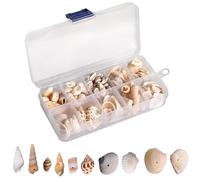 Fhioevt Conchiglie Decorative di 10 Stili Conchiglie a Spirale Conchiglia Forma Misto con Foro Conchiglie Naturali Spiaggia dell'oceano per Gioielli Bracciale, Artigianato,Acquario (150-200)