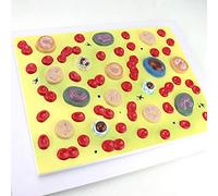 FHSLKXIM Modello Medico Anatomico delle Cellule del Sangue - Espanso nel Modello delle Cellule del Sangue 2000X - Modelli di Anatomia Umana - per L'Insegnamento degli Studi Medici