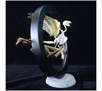 FHUILI Bird Skeleton Model - Alta Simulazione Pappagallo Skeleton Modello - Pappagallo Artificiale Realistico Modello osseo Skeleton - per Studio Display Teaching, Art Collection, Home Decor,B