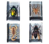 FHUILIJH 4 Pz Vero Insetto Cervo Scarabeo Esemplare Resina Scrivania Fermacarte per Educazione Scientifica Tassidermia Esemplare Articolato,B,74mm