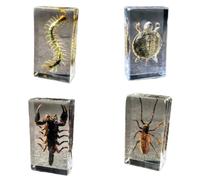 FHUILIJH 4 Pz Vero Insetto Esemplare Tartaruga Scorpioni Millepiedi Scarabei in Resina Collezione Fermacarte Scienza Aula Educazione Giocattolo,Clear,74mm