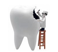 FHUILIJH Dentista Figurina Clinica Decor cavità Orale Denti Cattivi Modello Fatto A Mano Personalizzato Scultura Regalo per Dentista,Bianca,16cm