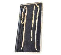 FHUILIJH Esemplare di Ascaris lumbricoides Esemplare bioincorporato di Ascaris lumbicoides per l'insegnamento delle scienze,Clear,14cm