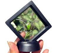 FHUILIJH Esemplare di Tartaruga d'oro con Fiore Verde - Modello educativo Modello di Esemplare di Insetto - per l'insegnamento degli Alunni della Scuola elementare,Nero,8cm