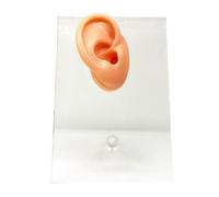 FHUILIJH Modello dell'orecchio in Silicone di Cristallo - Simulazione Modello dell'orecchio in Silicone - per l'esposizione, Lo Schizzo, l'insegnamento, la Pratica del Progetto,Right,9cm