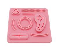 FHUILIJH Modello di Addestramento con Simulazione della cavità Addominale - Modulo Pratico per Trainer Laparoscopico - per Ausili Didattici Medici,Flesh,13cm