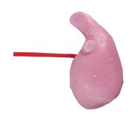 FHUILIJH Modello di Allenamento del fegato 3D Modello di addestramento con Simulazione laparoscopica per Uso di Formazione per Studenti di Medicina,Rosso,17c