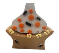 FHUILIJH Modello di cellula sinaptica Modello di Trasmissione neuronale Modello didattico di biologia per scopi di Laboratorio e di Ricerca,Grigio,15cm