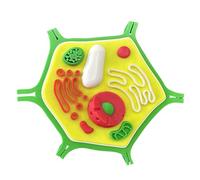 FHUILIJH Modello di cellula vegetale - Modello di Anatomia di Cellule vegetali Stampato in 3D - per progetti di biologia, Anatomia e Scienza,Flesh,11c