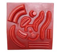 FHUILIJH Modello di Formazione laparoscopica Modello di Formazione 3D per la Pelle Artificiale per l'istruzione in Aula e la Formazione Medica,Flesh,16cm