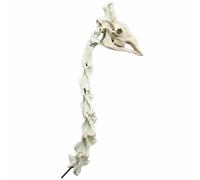 FHUILIJH Modello di Teschio di Giraffa Ossa di Giraffa Skull Scheletro di Testa di Animale per la Decorazione Domestica Puntelli di Halloween Cranio Resina Artigianato,B