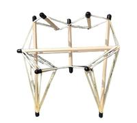 FHUILIJH Modello Integrale della Tensione pelvica - Modello Generale della Colonna vertebrale e della Tensione pelvica - per l'ausilio didattico sulla Tensione fasciale,Bianca,24cm