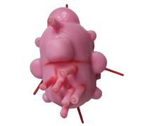 FHUILIJH Modello Realistico 3D di tumore toracico e Fibroma Modello del modulo di Formazione in Silicone per ausili didattici Medici,Flesh,13c