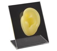 FHUILIJH Simulazione Silicone Tridimensionale Falso Orecchio Modello Gioielli Display Auricolare Piercing Pratica Modello,Yellow b,6cm