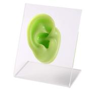 FHUILIJH Simulazione Silicone Tridimensionale Falso Orecchio Modello Gioielli Display Auricolare Piercing Pratica Modello,Green a,6cm