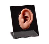 FHUILIJH Simulazione Silicone Tridimensionale Falso Orecchio Modello Gioielli Display Auricolare Piercing Pratica Modello,Coffee b,6cm