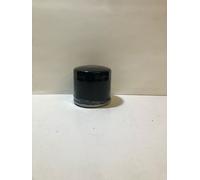 FIAAM FILTER FT 5389,FILTRO OLIO.