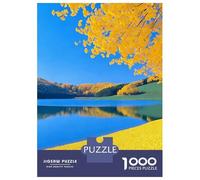 Fiabe Puzzle 1000 Pezzi Cartone Riciclato Per Adulti E Ragazzi, Difficile EduGattoivo, Idea Regalo Premium Esclusivo Decorazione 38x26cm/1000pcs