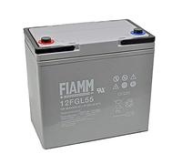 Fiamm 12FGL55 - Batteria al piombo con attacco a vite M6, 12 V, 55000 mAh