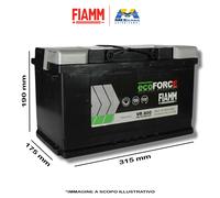 FIAMM BATTERIA 12V 80AH 800A AGM VR800 START & STOP 7906201 315x175x190 mm