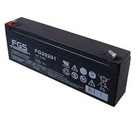 FIAMM Batteria al piombo FG20201 12,0 Volt, 2.000 mAh, con connettori da 4,8 mm