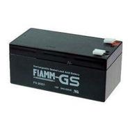 FIAMM Batteria al piombo FG20341 12,0 Volt 3.400 mAh con connettori da 4,8 mm