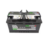 FIAMM 7906202 Batteria