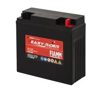 Fiamm Batteria per Moto e Scooter FT19-12B 20AH 200A, Batteria Easy Rider AGM Technology, Massima Potenza di Avvio,Senza Manutenzione, Già Carica, Pronta all'Uso, Adatta a Scooter, Moto, Moto d'acqua