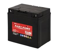 Fiamm Batteria per Moto e Scooter FT30-12B 30AH 300A, Batteria Easy Rider AGM Technology, Massima Potenza di Avvio, Senza Manutenzione, Già Carica, Pronta all'Uso, Adatta a Scooter, Moto, Moto d'acqua