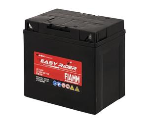 Fiamm Batteria per Moto e Scooter FT30-12B 30AH 300A, Batteria Easy Rider AGM Technology, Massima Potenza di Avvio, Senza Manutenzione, Già Carica, Pronta all'Uso, Adatta a Scooter, Moto, Moto d'acqua