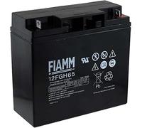 FIAMM Batteria Ricaricabile al Piombo 12FGH65 (Resistente a Corrente Alta)