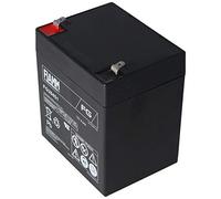FIAMM Batteria ricaricabile al piombo FG20451