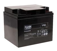 FIAMM Batteria Ricaricabile al Piombo FG24204 VDS