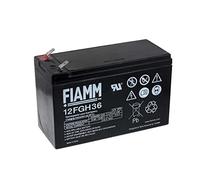 FIAMM Batteria ricaricabile al piombo FGH20902 (resistente a corrente alta), 12V, Lead-Acid