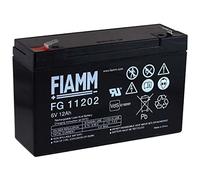 FIAMM Batteria ricaricabile da cambio per Scooter carrozzelle scooter elettrico auto elettrica 6V 12Ah (sostituisce anche 10Ah)